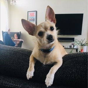 Meet your Posher, Jennifer